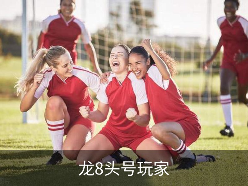 龙8头号玩家概况